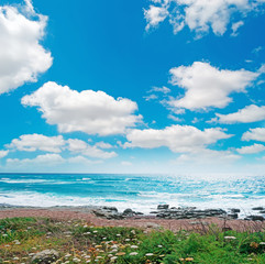 Clouds over Bosa shore