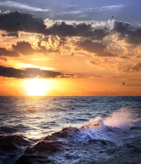 Zelfklevend Fotobehang Stormy sea with sundown and birds / beautiful weather © Taiga