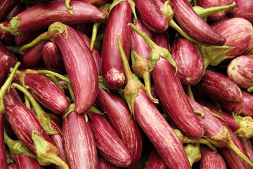 frische gestreifte Auberginen