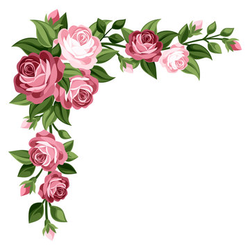 Pink vintage roses, rosebuds and leaves. Vector illustration.