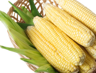 juicy corn