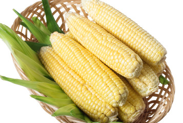 yellow corn