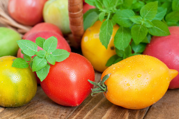 fresh tomatoes and basil