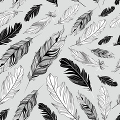 graphic texture of feathers