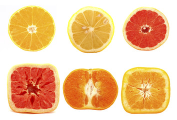 Citrus fruits on a white background. Set