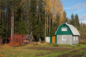 Wooden house in the village