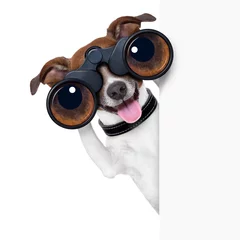 Foto auf Alu-Dibond Lustiger Hund Fernglas Hund