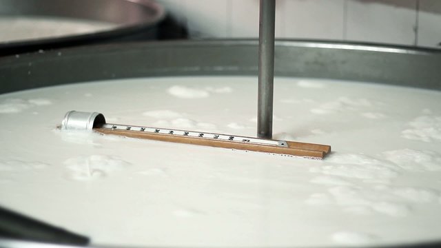 MAKING MOZZARELLA CHEESE