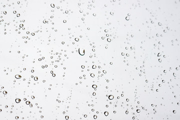 Drops of rain on the window - obrazy, fototapety, plakaty