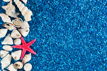 Star-fish and seashells on blue sand