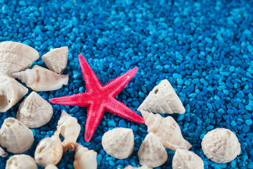 Starfishe and seashells on blue sand
