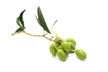 Olives