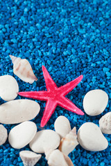 Starfish and seashell on blue sand like water
