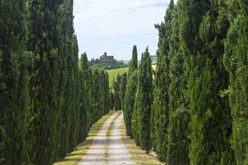 Monferrato (Italy)