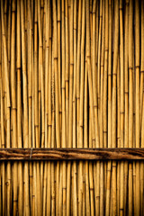 Wood door background