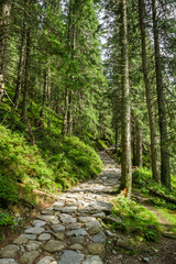 Stone path leading to the peak