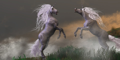 Unicorn Stallions Fighting © Catmando