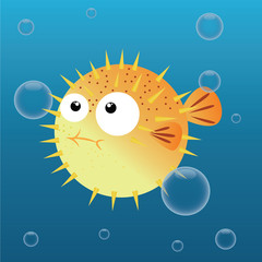 blowfish © ladiseno