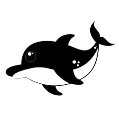 dolphin