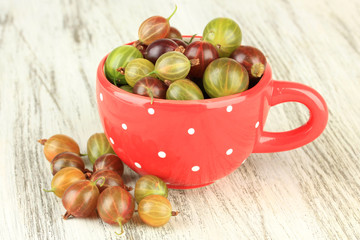 Fresh gooseberries in cup on table close-up
