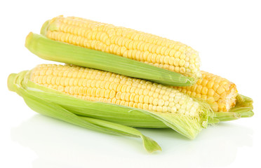 Fresh corn vegetable isolated on white