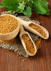 Mustard seeds with mustard leaves on wooden background