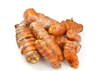 Fresh Turmeric or Curcuma Rhizome