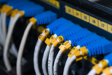 Network switch and UTP ethernet cables