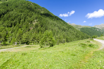 Naklejka na ściany i meble Summer Alpine landscape. Northern Italy