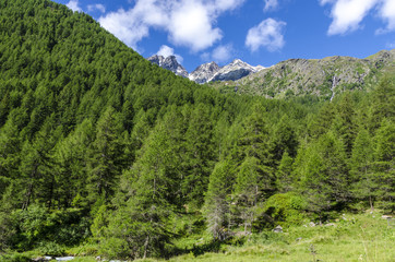 Fototapeta na wymiar Summer Alpine landscape. Northern Italy