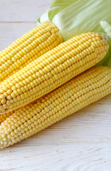 Fresh corn on the table