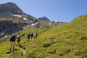 Fototapeta na wymiar Grupa turystów w górach