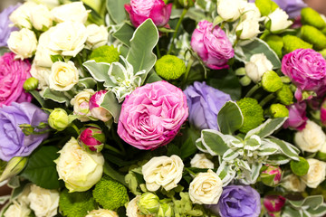 beautiful colorful flowers