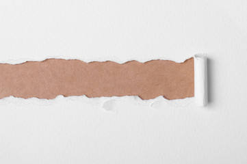 White ripped paper