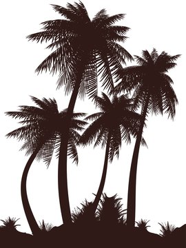 Palms_siluet