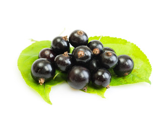 black currant on green leaves
