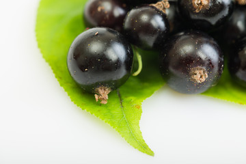 black currant on green leaves