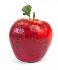 Fresh red apple on white background