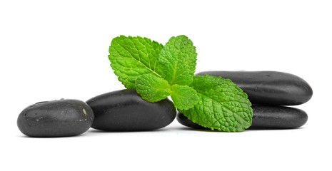 Fresh mint on the black stones with drops