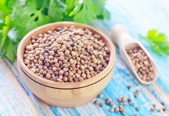 coriander