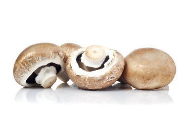 fresh mushroom champignon isolated on white background