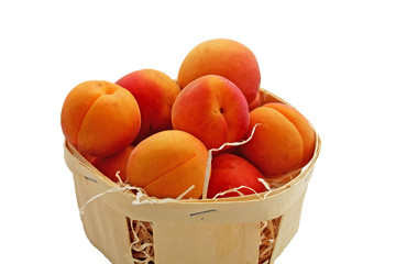 Barquette de polonais