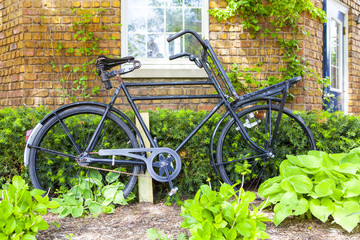 Antique Bicycle