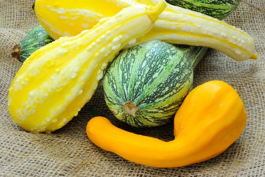 Zucche ornamentali