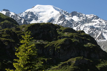 Fototapeta premium Berge in den Alpen - Grand Combin II