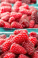 Fresh Tayberries on display at the market