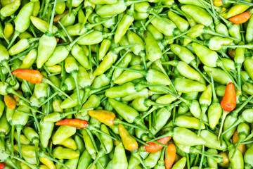chili pepper