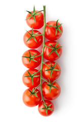 Cherry tomatoes on the branch