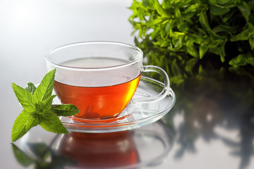 Transparent cup with green tea and fresh herbal bouquet