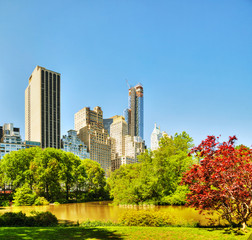 Fototapeta premium New York City cityscape on a sunny day